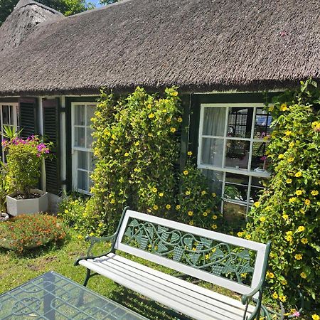 Meyerhof Lejlighed Kapstaden Eksteriør billede